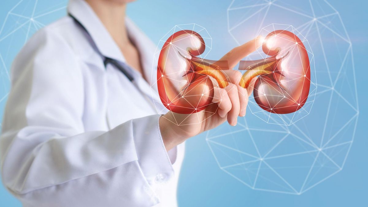 Toczniowe zapalenie nerek może mieć łagodny lub ciężki przebieg.