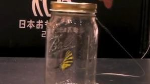 Oto jak hodować robota w słoiku [wideo] 1