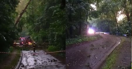 Drzewa łamały się jak zapałki. Dramatyczne nagranie spod Olesna