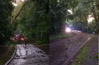 Drzewa łamały się jak zapałki. Dramatyczne nagranie spod Olesna