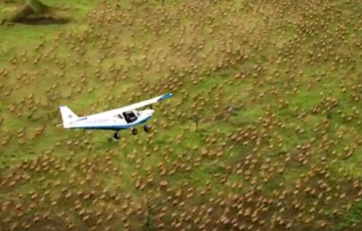 Africa’s largest antelope migration in peril despite record numbers