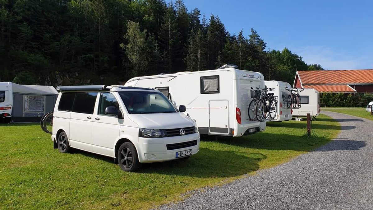 W krótkim czasie skradziono 5 volkswagenów californii