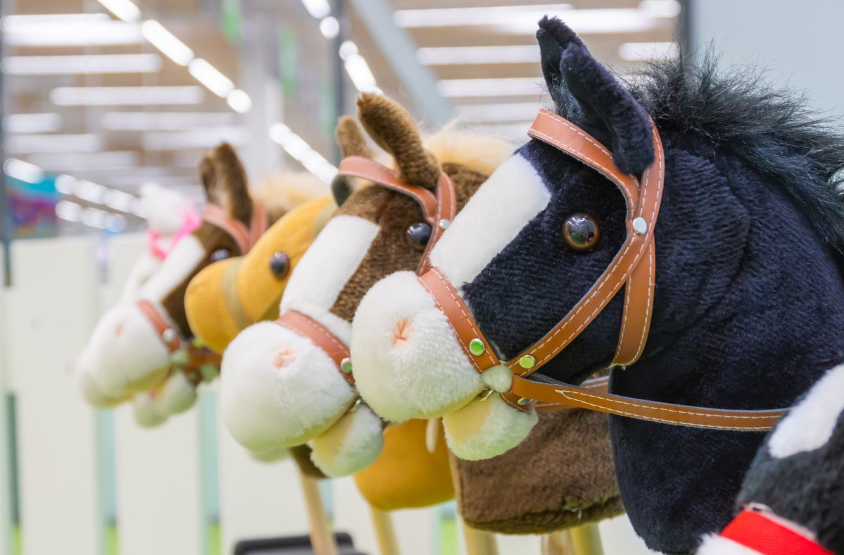 Hobby horsing: Germany hosts first national championships