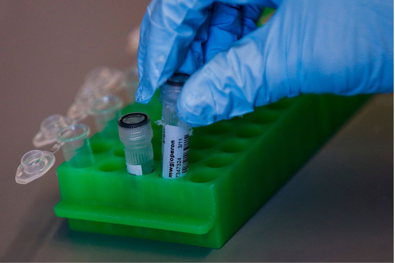 Firma od testów DNA na skraju bankructwa. Pogrążył ją wyciek danych