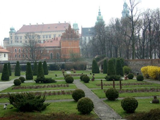 Obraz