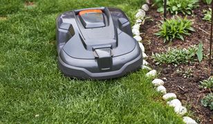 Roboty koszące to prawdziwy hit! Zadbany trawnik bez wysiłku