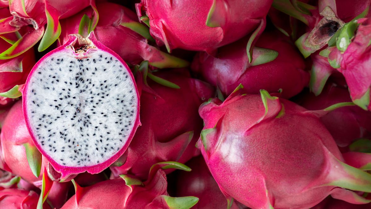 Krzyżówka z wiedzy ogólnej