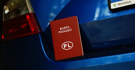 Naklejki na szybach i karty pojazdów jeszcze przez 2 lata. Resort wyjaśnia "poślizg"