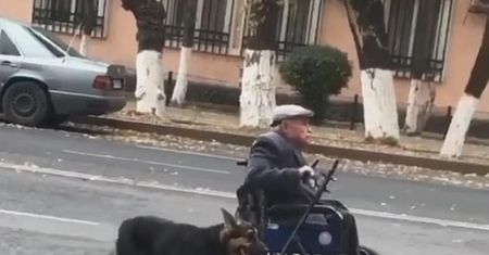 Pomaga pchać wózek. Nagrała przykład prawdziwej przyjaźni