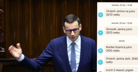 "Cena węgla spadnie". Oto, co się wydarzyło po słowach premiera