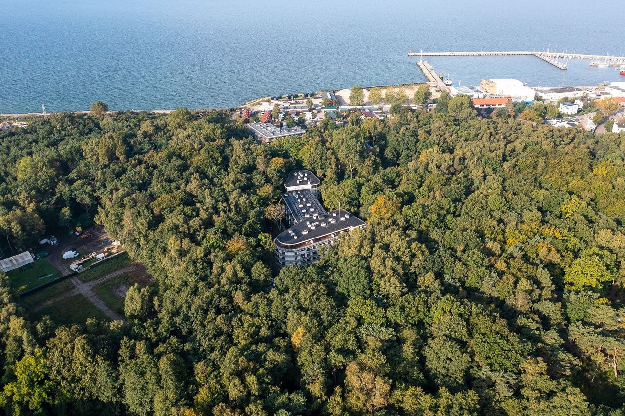 Hel: Coraz więcej problemów z wycinką drzew