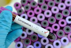 The coronavirus map for Poland and the world