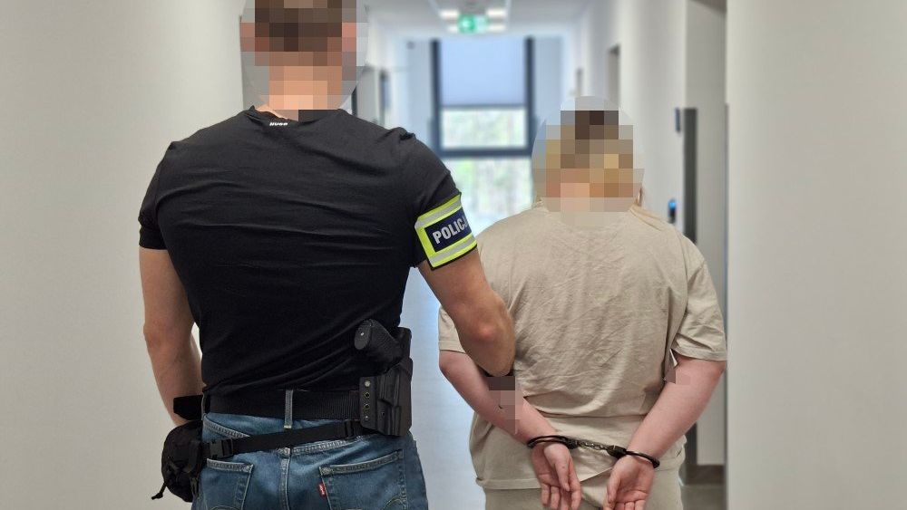 policja