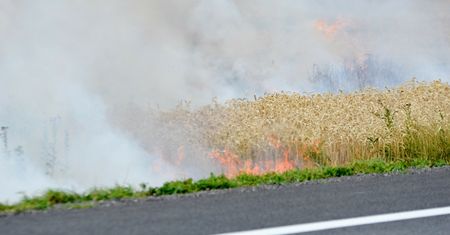 Wielkopolska. Seria groźnych pożarów. 30 zastępów straży pożarnej w akcji