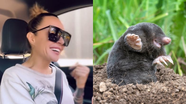 Blanka Lipińska z pasją opowiada o pułapce na kreta