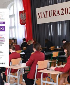 Matura 2023. Język angielski. ARKUSZE CKE + ZADANIA