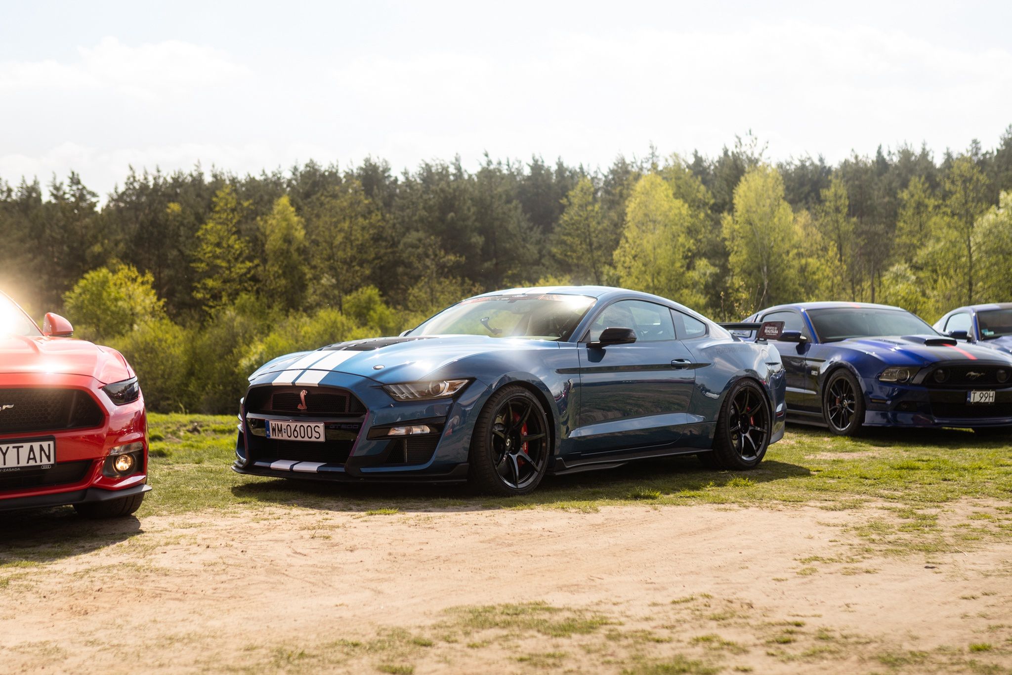 Zlot Mustang Klub Polska 2024
