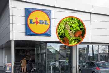 Kupiła rukolę w Lidlu. W środku był gad z tropików