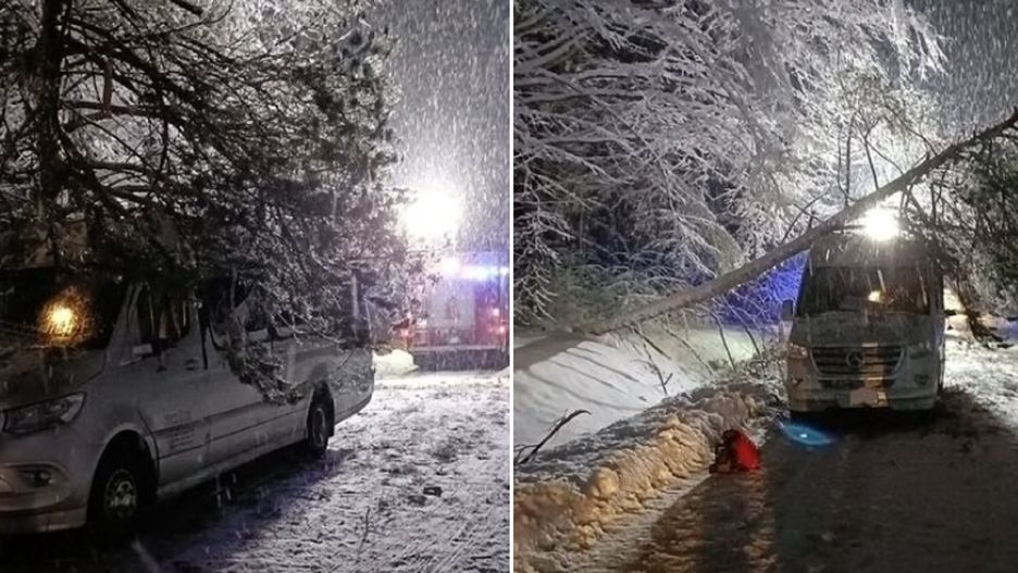 Drzewo spadło na samochód