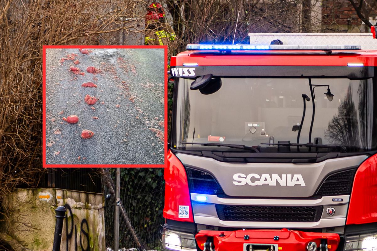 Zgłosiła rozżarzony węgiel na ulicy. Strażacy odkryli zaskakującą prawdę