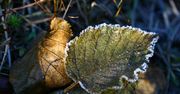 IMGW ostrzega: czekają nas duże dobowe różnice temperatur w ciągu dnia