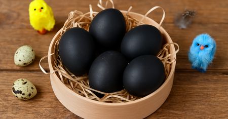 Zanurzam jajka i odstawiam na pół godziny. Skorupki wychodzą czarne jak noc