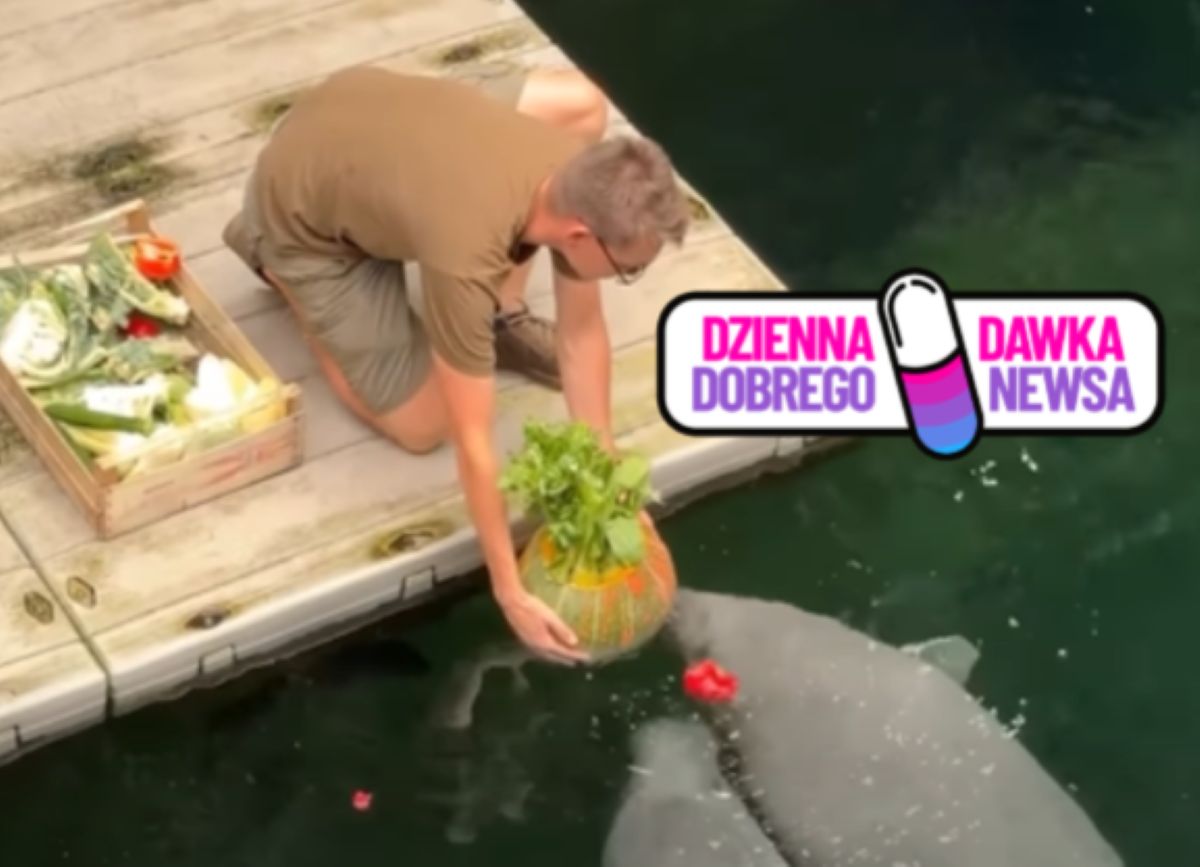 Niezwykłe urodziny we wrocławskim zoo. Taki prezent czekał na jubilata