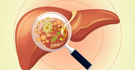 HCV - charakterystyka, diagnostyka, leczenie, profilaktyka