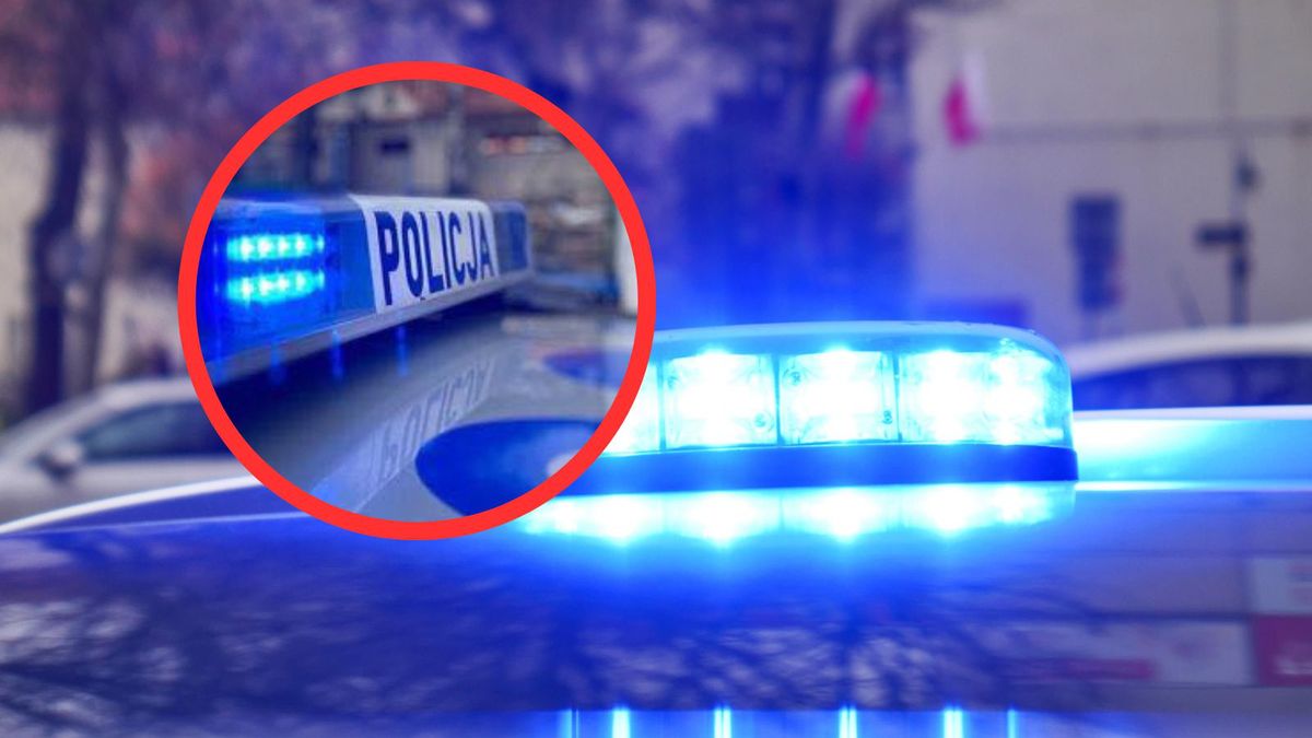 Sosnowiec: Zwęglone zwłoki pod wiaduktem