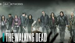 Właściciel znanych kanałów tematycznych zwalnia i szuka nowego dyrektora generalnego