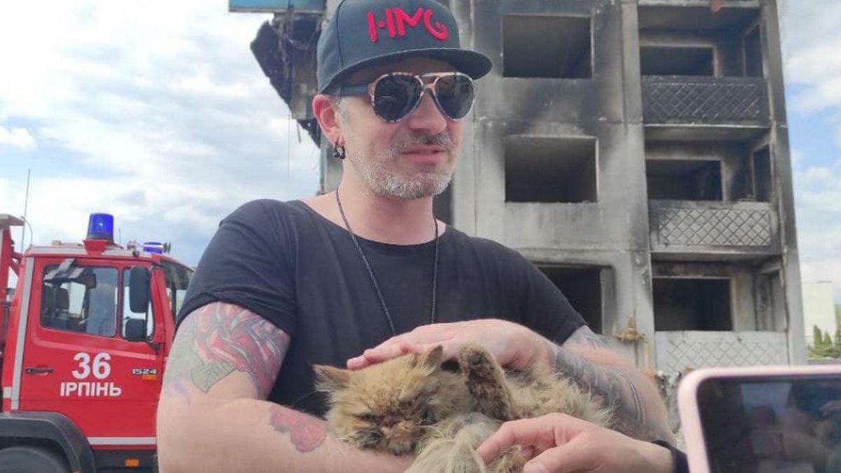 Kot został uratowany