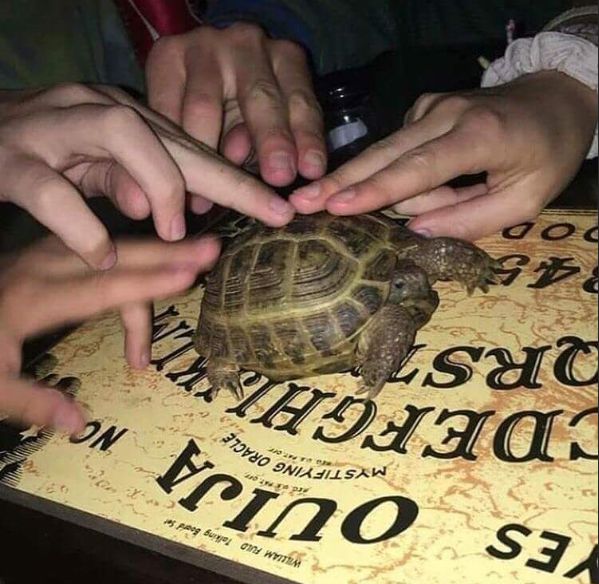 Przeklęte zdjęcia.