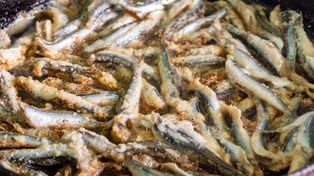 W Polsce mało znane. Podam je w Wigilię, bo nie mają ości i nie trzeba ich filetować, a goście będą zaskoczeni daniem