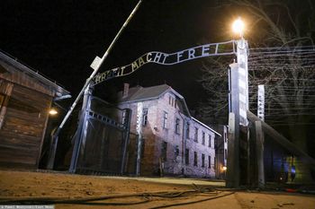 Co dalej ws. skandalicznej aukcji? Mamy odpowiedź MSZ Niemiec