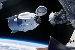 Pół miliona opłaconych zamówień na Starlinka. Ogromne pieniądze dla SpaceX