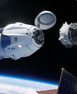 Pół miliona opłaconych zamówień na Starlinka. Ogromne pieniądze dla SpaceX