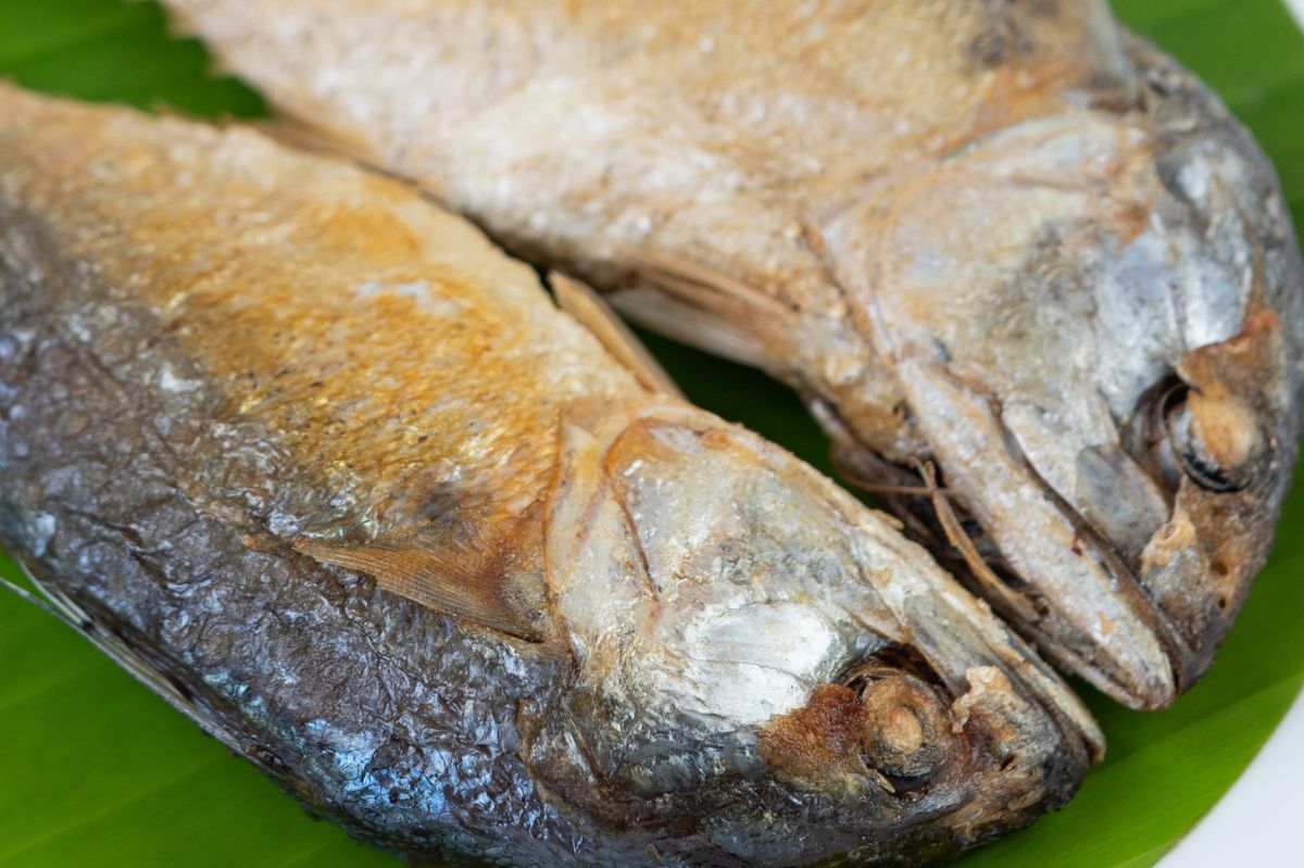 Polacy bardzo rzadko jedzą tę rybę. Duży błąd, bo jest bardzo smaczna i kosztuje niewiele