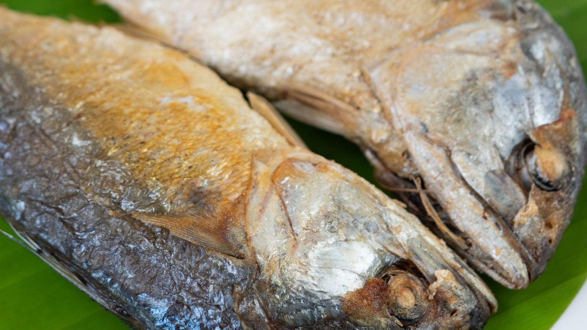 Makrela to jedna z najzdrowszych ryb