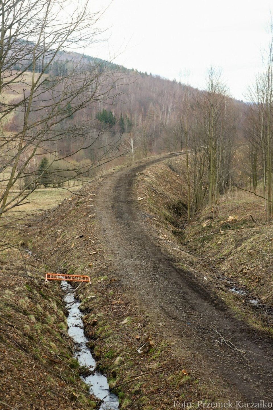 Przetarg na rewitalizację linii kolejowych do Lwówka Śląskiego, Kowar, Kamiennej Góry