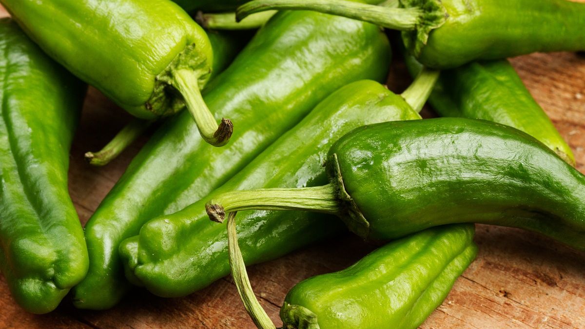 Zielone papryczki padrón