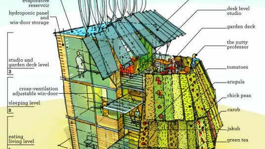 Dom z warzywniakiem na ścianie 1