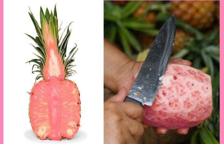 &quot;Rosé ananas&quot; to nowy sposób na walkę z rakiem