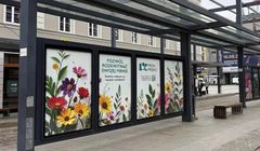 Cyfrowe nośniki napędzają reklamę zewnętrzną. Rok 2025 pod znakiem konsolidacji