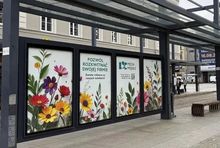 Rynek OOH ma się bardzo dobrze
