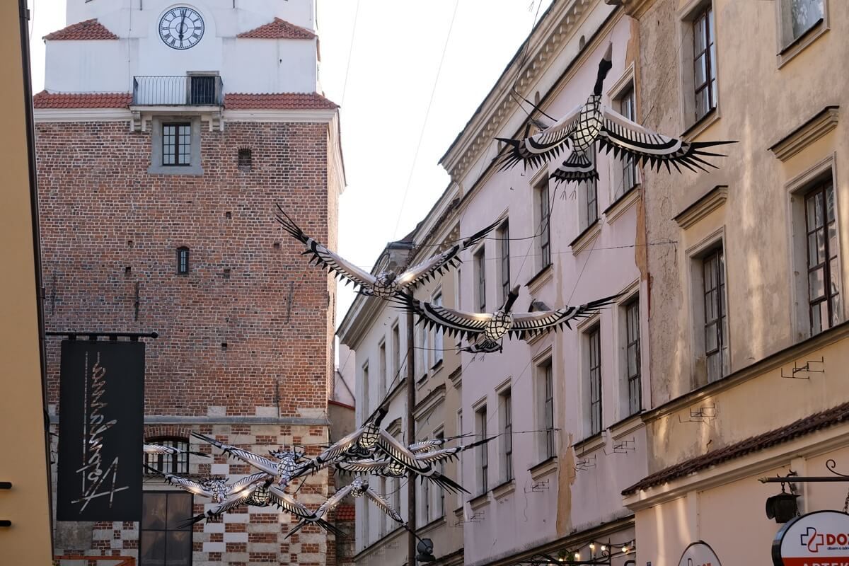 „Przelatujące Żurawie” wkrótce znikną ze Starego Miasta. Wiemy, ile kosztowały i co zastąpi je w czerwcu