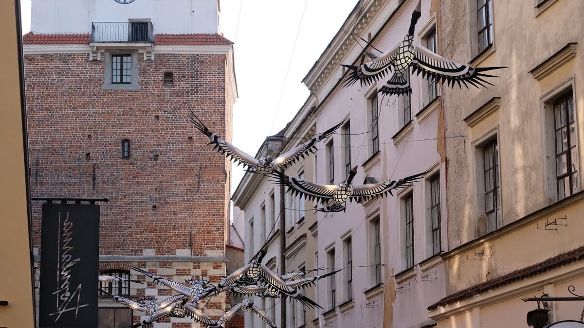 Instalacja „Przelatujące Żurawie” na Starym Mieście autorstwa Jarosława Koziary