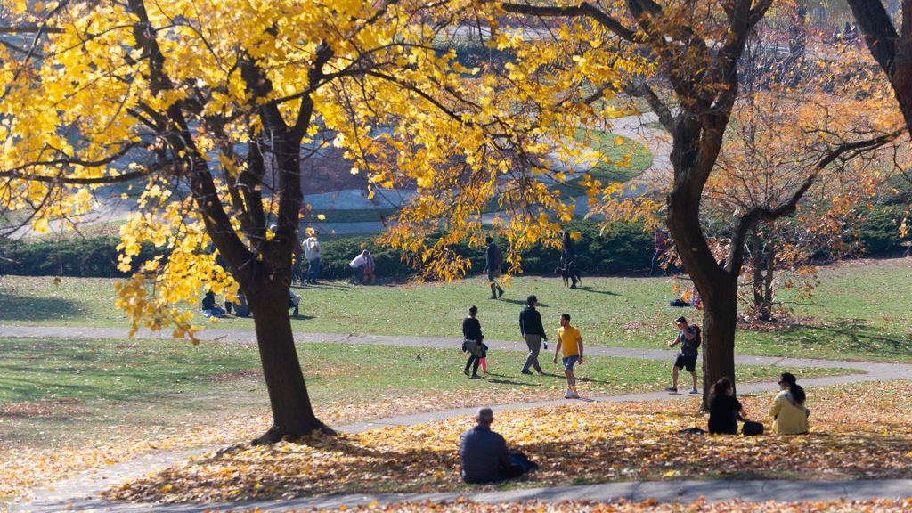 Najcieplejszy listopad w historii