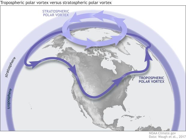 Wir Polarny