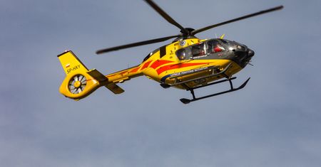 Wypadek przy wycince drzew. Nie żyje mężczyzna