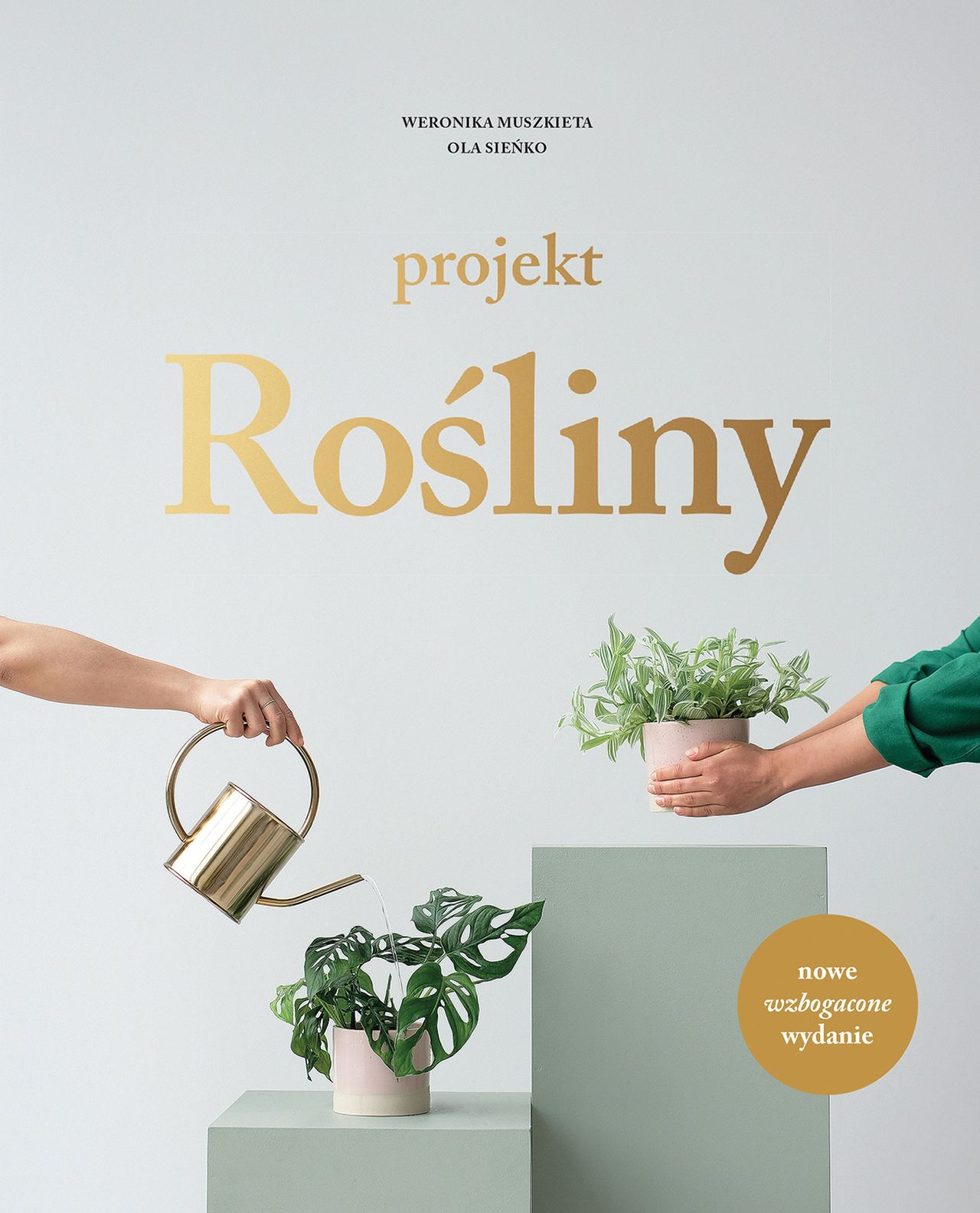 Rośliny do cienia – wybór gatunku i pielęgnacja roślin cieniolubnych